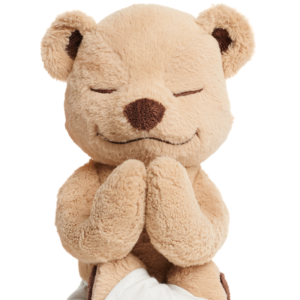Meddy Teddy Lotus Prayer Pose