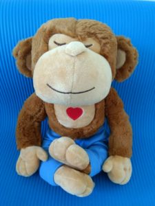 meddy monkey-teacher's assistant