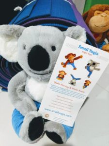 meddy koala teacher's assistant
